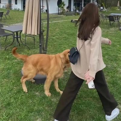 统营的一天